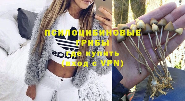 прущие крисы Баксан