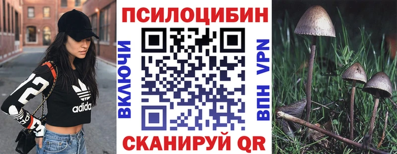 площадка какой сайт гидра ONION Починок Галлюциногенные грибы Psilocybine cubensis